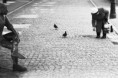 /album/krajinne-ctverecky/a298425-jpg/