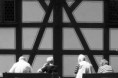 /album/krajinne-ctverecky/img-6940b-jpg/